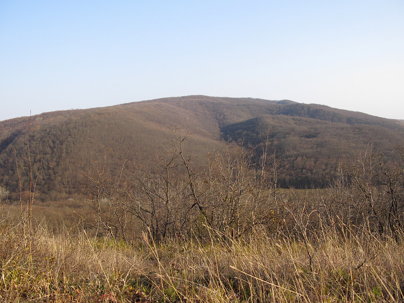 Хребет Грузинка, image of landscape/habitat.