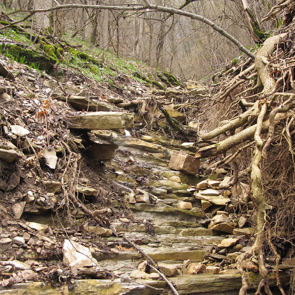 Щель Медвежья, image of landscape/habitat.