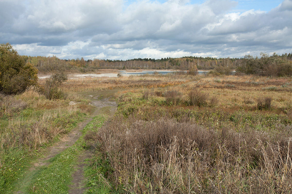 Кюрлевский карьер, image of landscape/habitat.