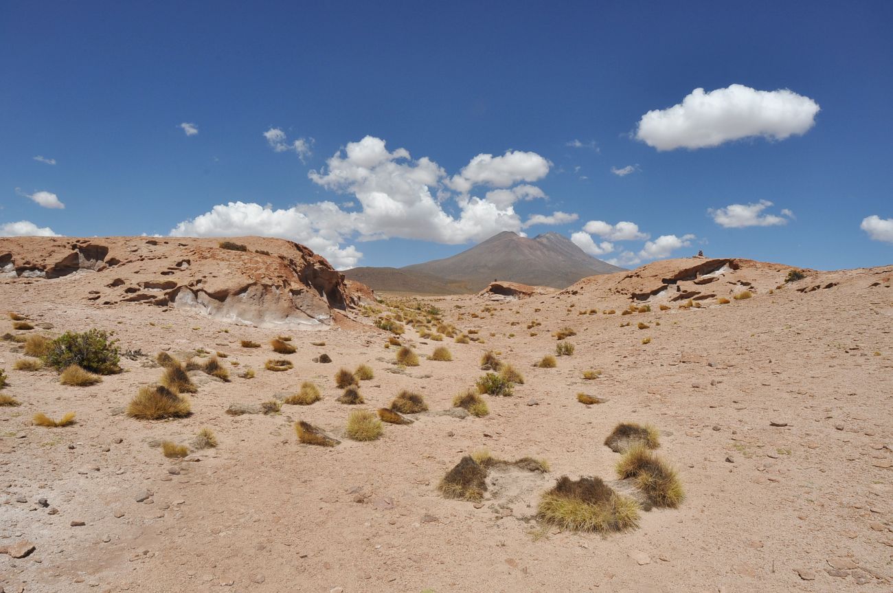 Окрестности вулкана Ольягуе, image of landscape/habitat.