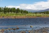 Долина Курейки, image of landscape/habitat.