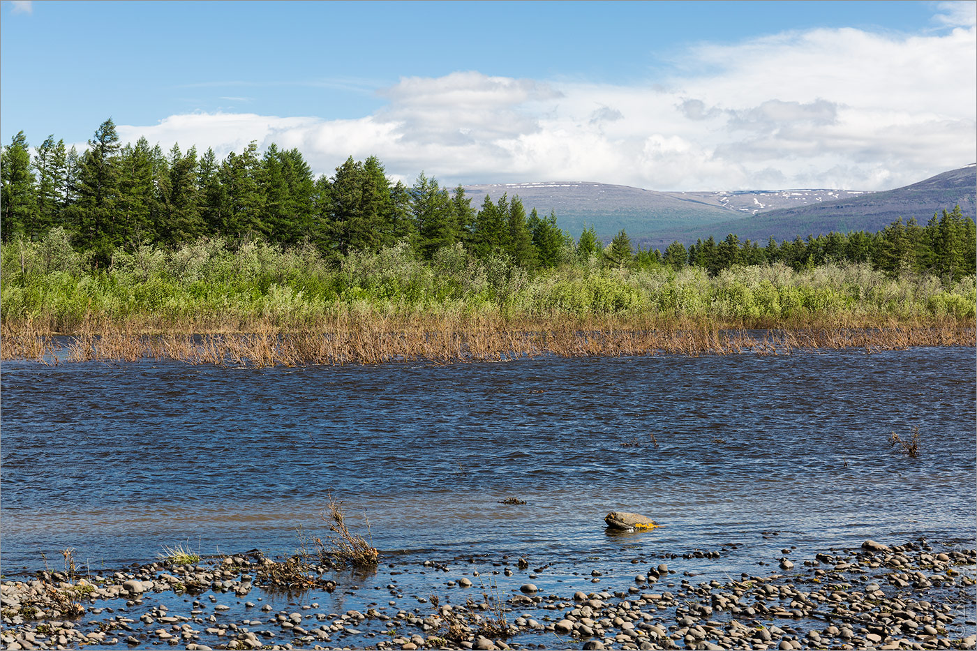 Долина Курейки, image of landscape/habitat.