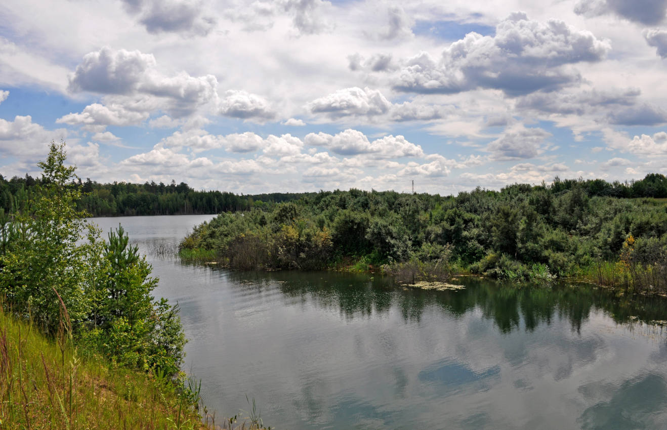 Окрестности посёлка Гжель, image of landscape/habitat.