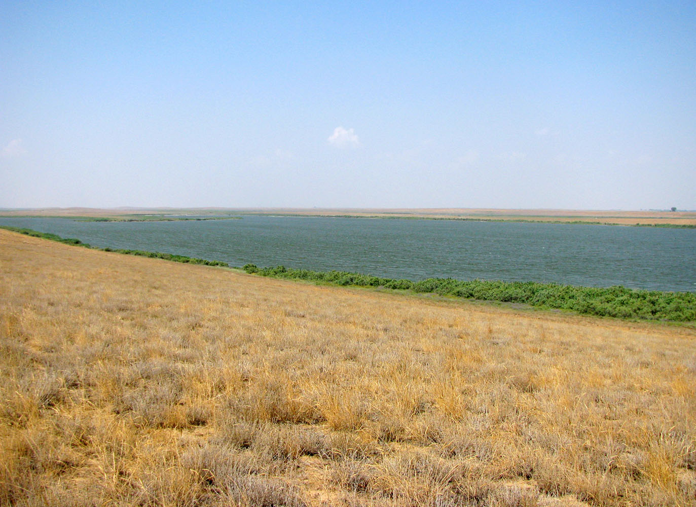 Западные подстепные ильмени, image of landscape/habitat.