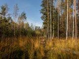 Image of landscape