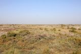 Пески Язъяван, Язъяванский район, изображение ландшафта.