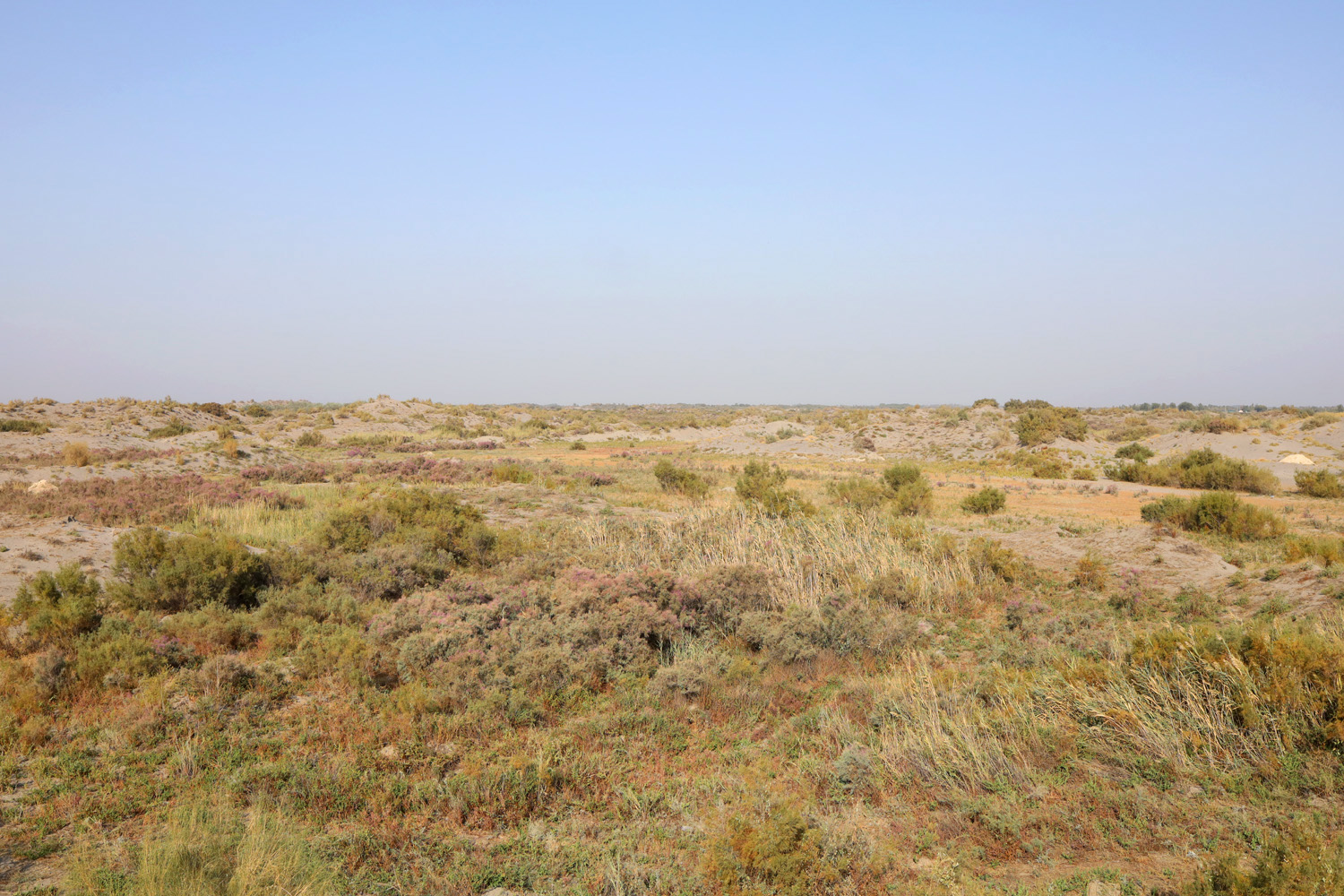 Пески Язъяван, Язъяванский район, image of landscape/habitat.