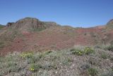 Image of landscape