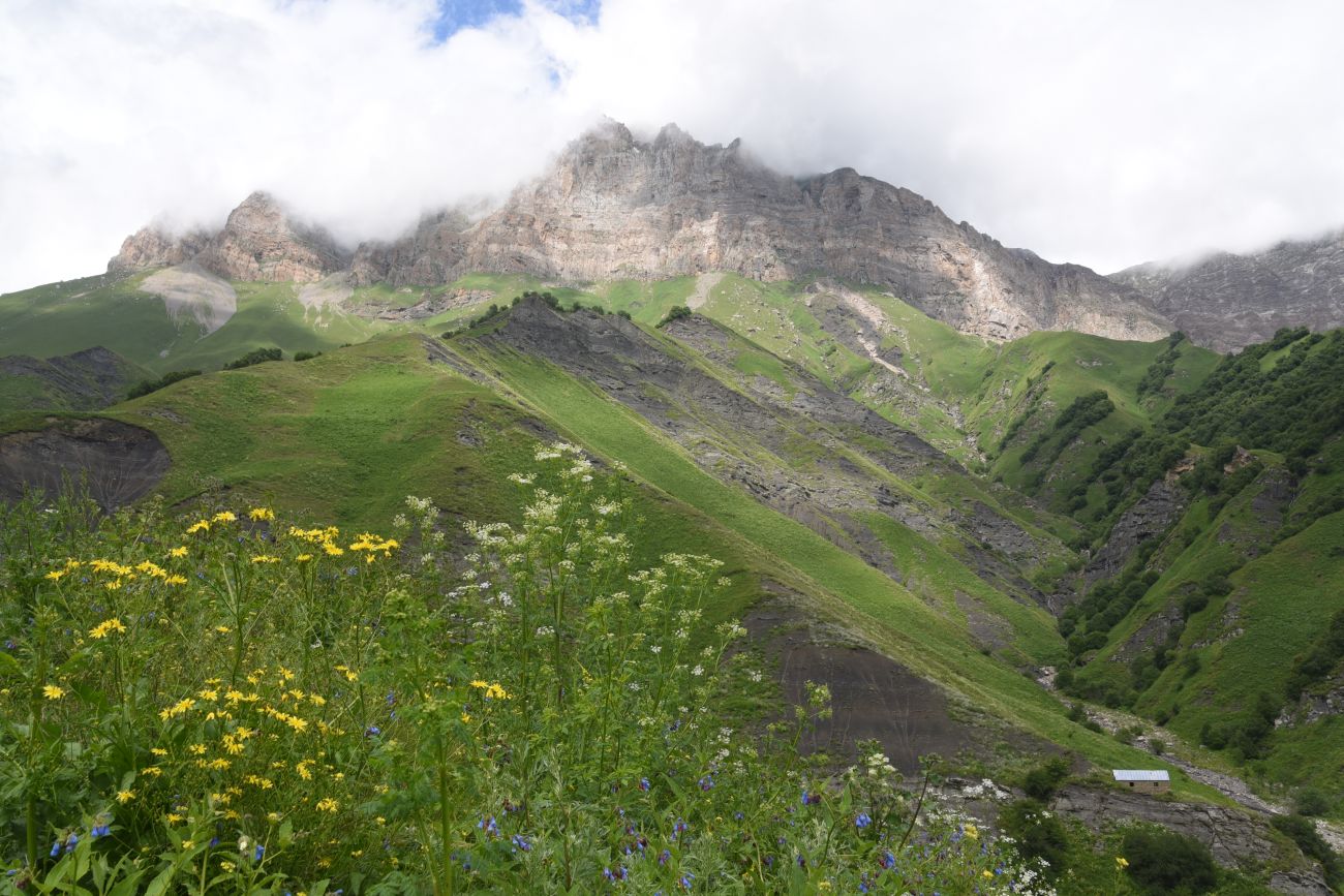 Гора Дайхох, image of landscape/habitat.