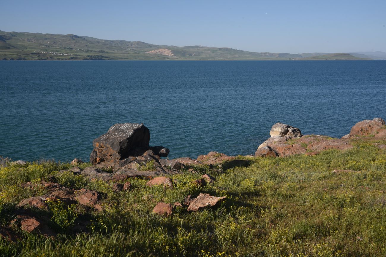 Окрестности Кечикыран, image of landscape/habitat.