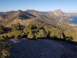 Караул-Оба, image of landscape/habitat.