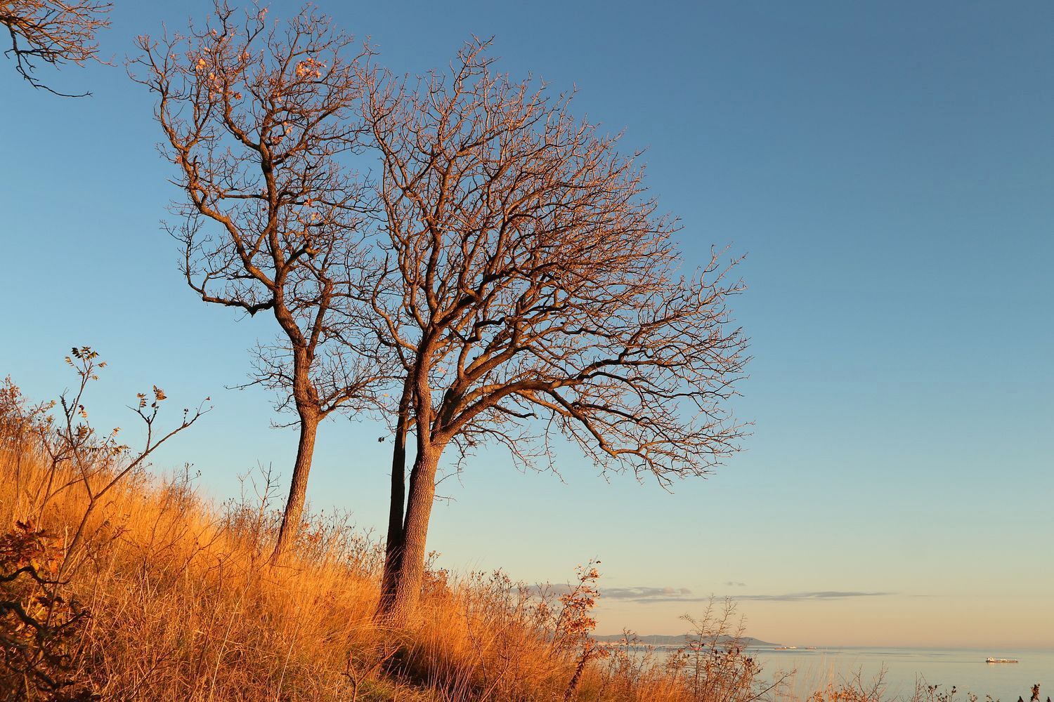 Гора Колдун, изображение ландшафта.
