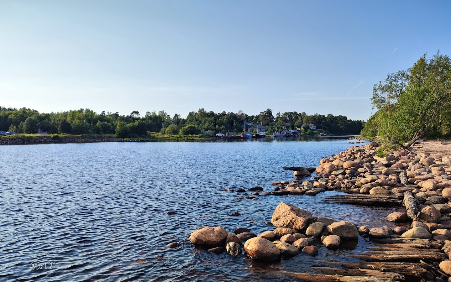 Устье Видлицы, image of landscape/habitat.