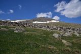 Image of landscape