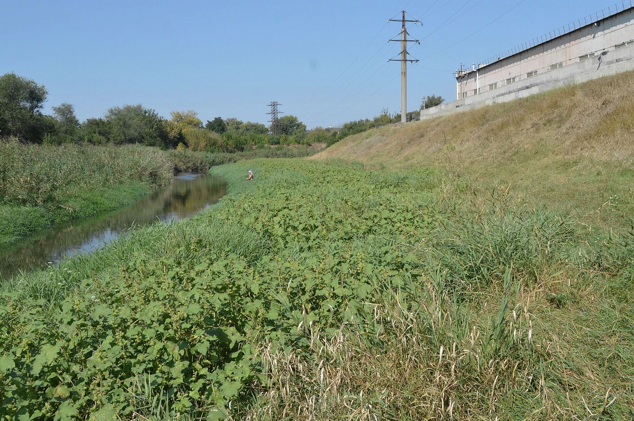 Луганск, image of landscape/habitat.