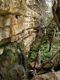 Image of landscape