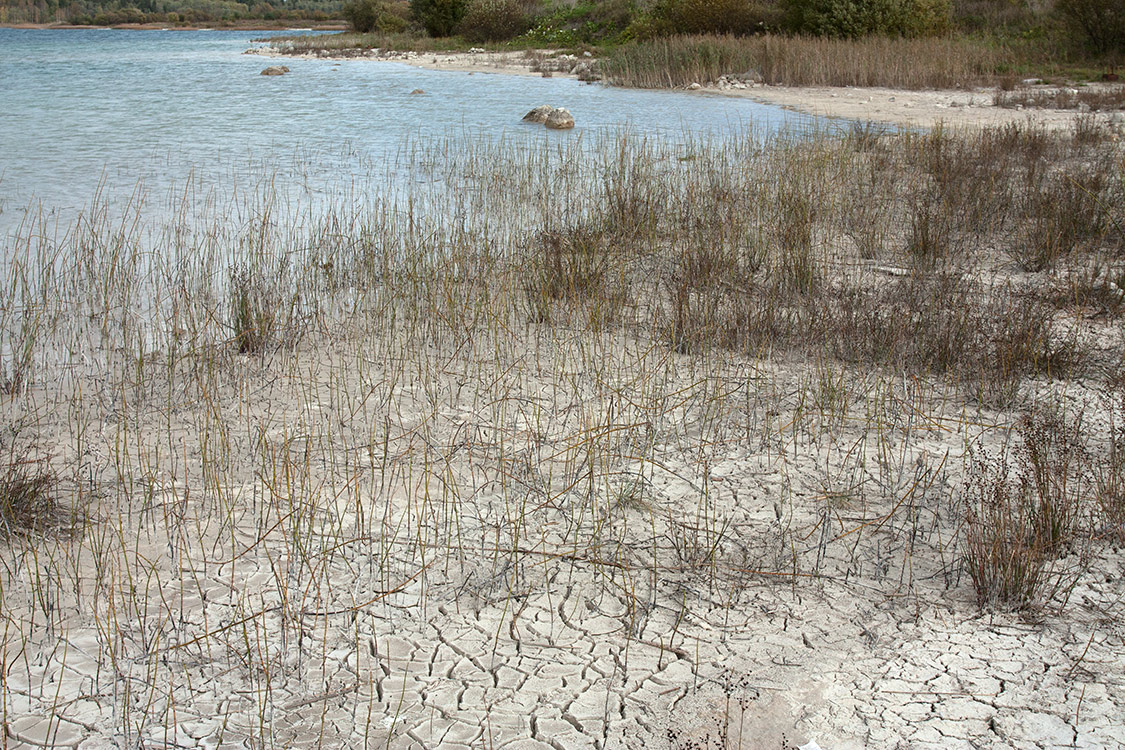 Кюрлевский карьер, image of landscape/habitat.