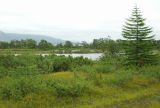 Image of landscape