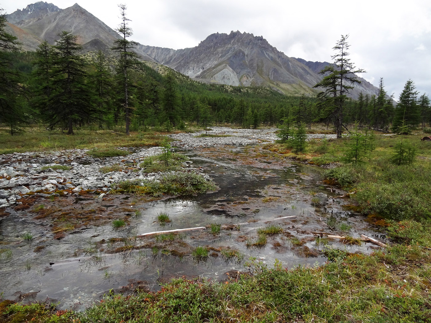 Озеро Кытын-Кюэль, image of landscape/habitat.