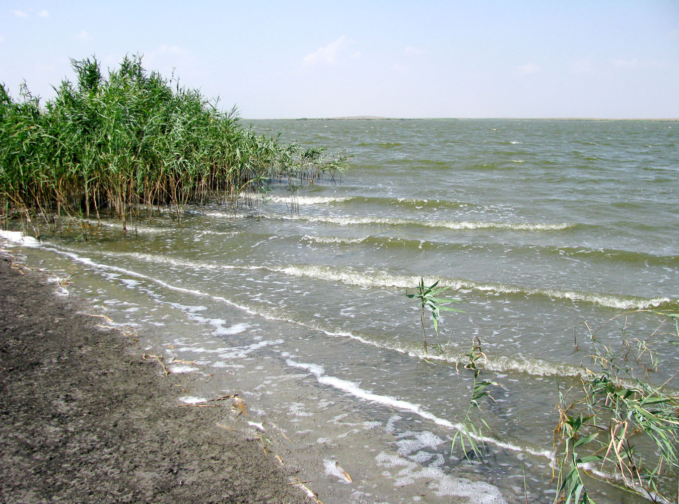 Западные подстепные ильмени, image of landscape/habitat.