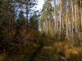 Image of landscape