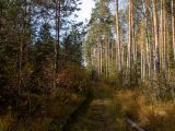 Вербилки, image of landscape/habitat.