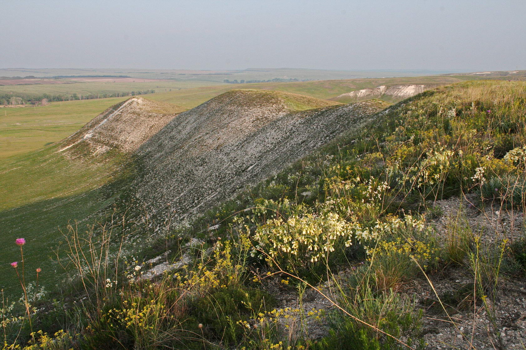 Долина р. Большая Голубая, image of landscape/habitat.