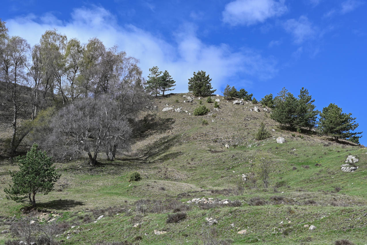 Природный парк "Верхний Гуниб", изображение ландшафта.