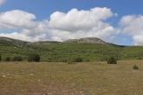 Image of landscape