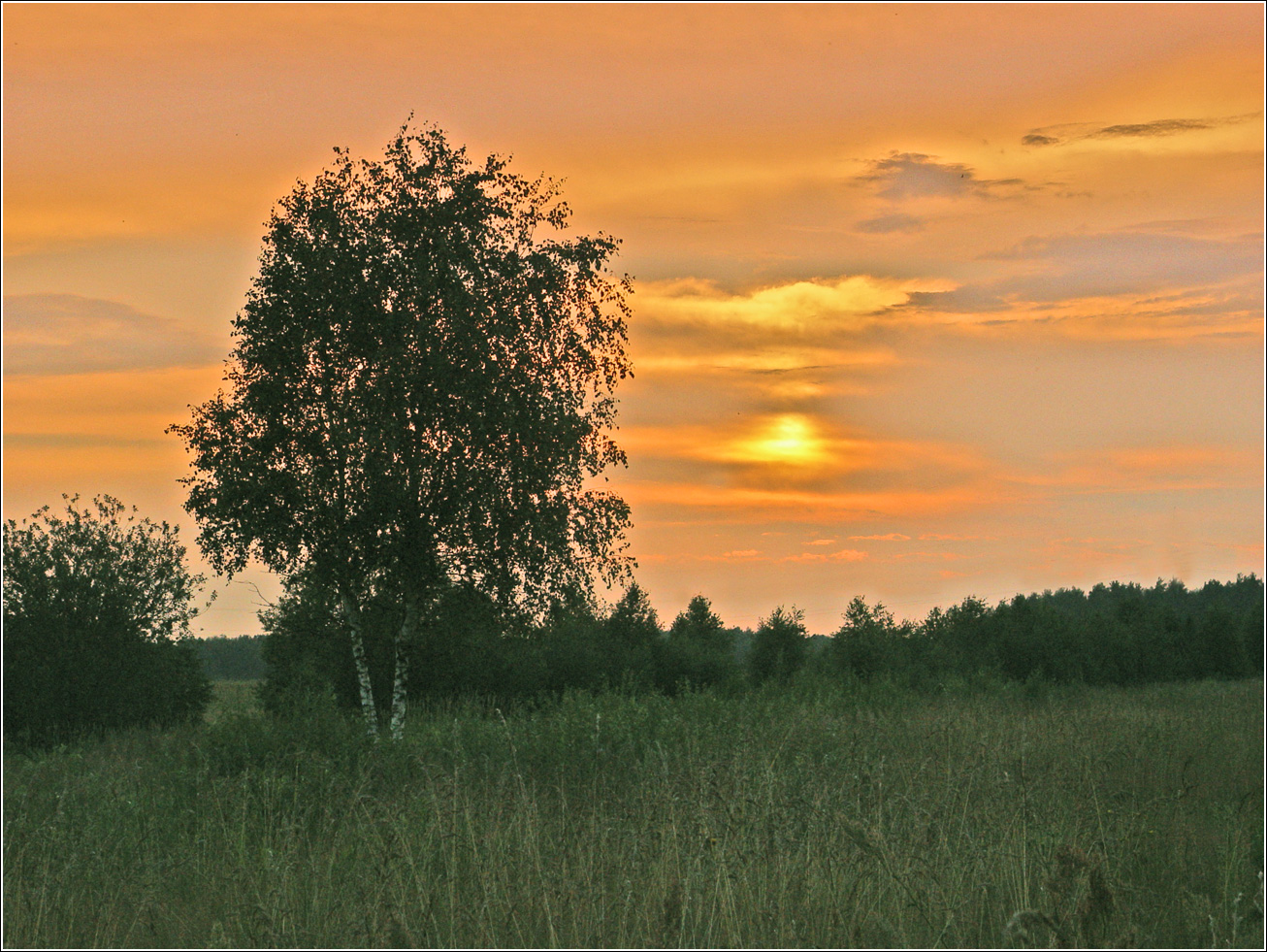 Окрестности Хрипани, изображение ландшафта.