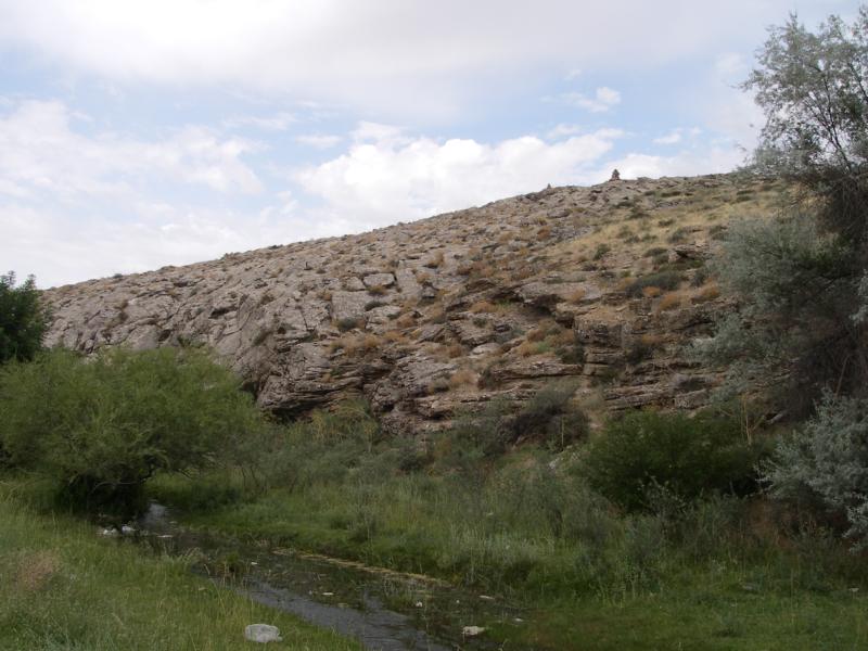 Река Коксарай, image of landscape/habitat.