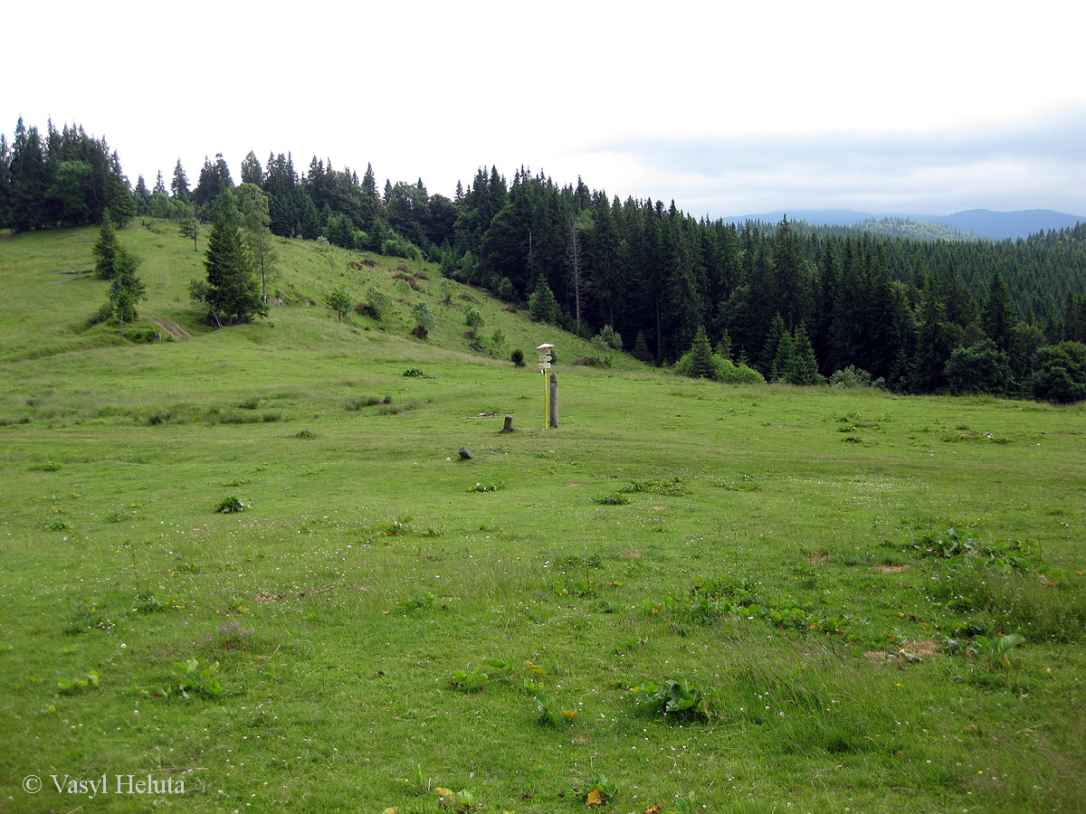 Перевал Легионов, image of landscape/habitat.