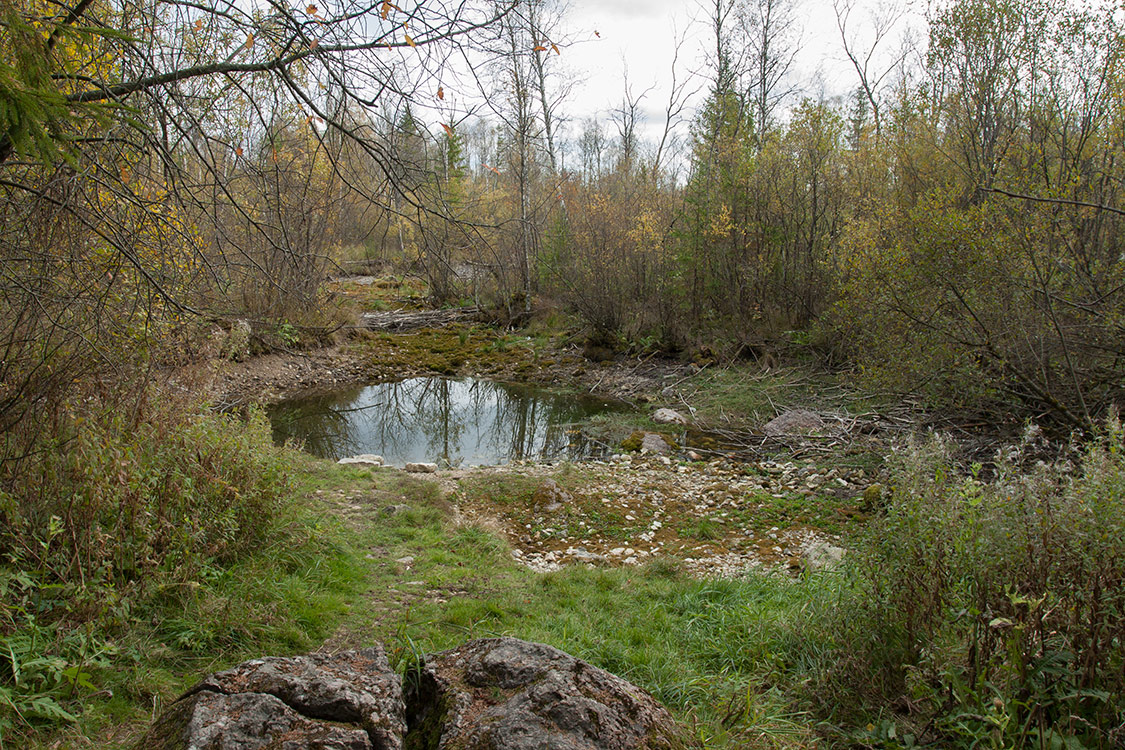 Волосовский район, image of landscape/habitat.