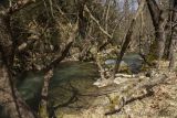 Витина и окрестности, image of landscape/habitat.
