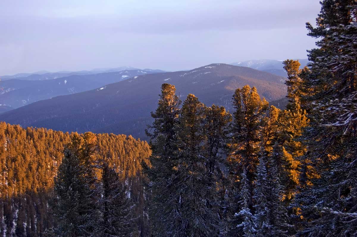 Сумультинский хребет, image of landscape/habitat.