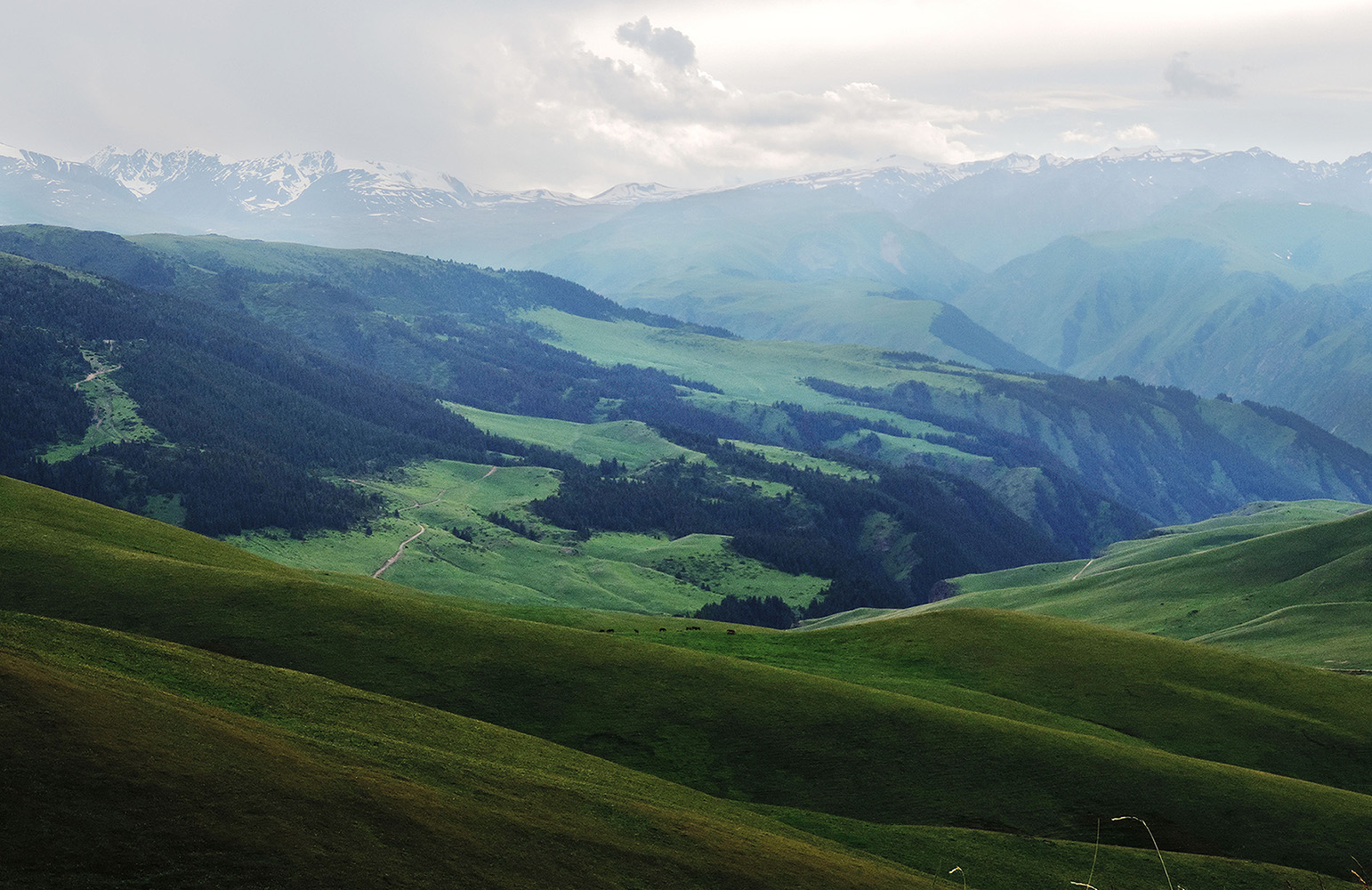 Плато Ассы, image of landscape/habitat.