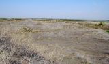 Image of landscape