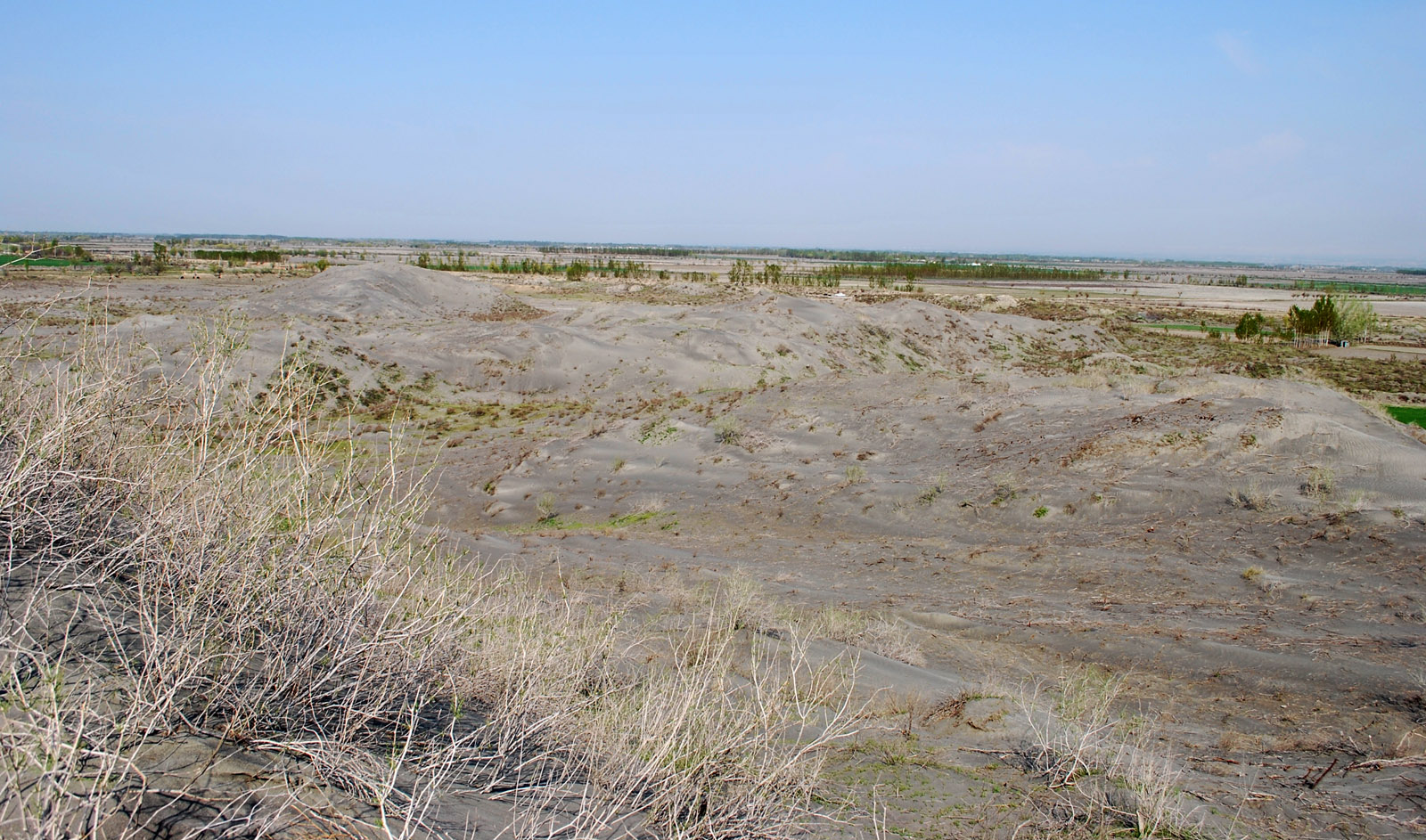 Мингбулакские пески, image of landscape/habitat.