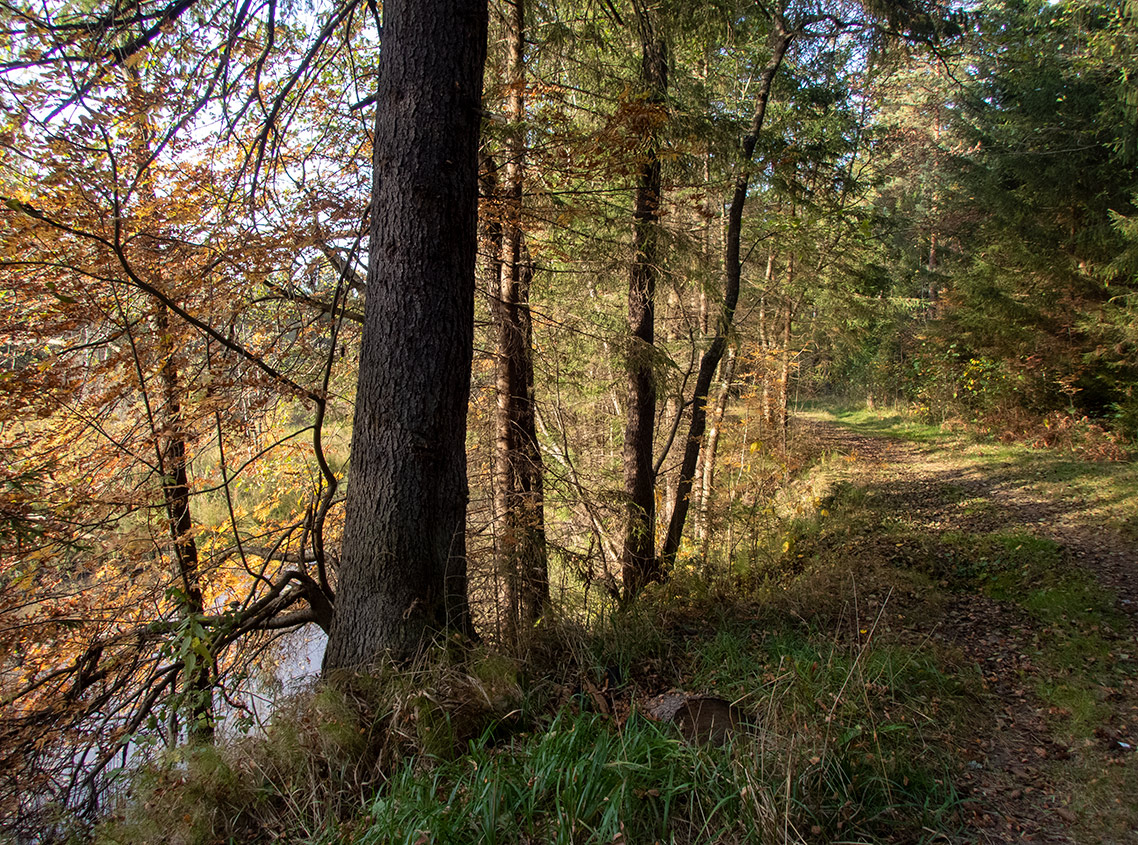 Вербилки, image of landscape/habitat.