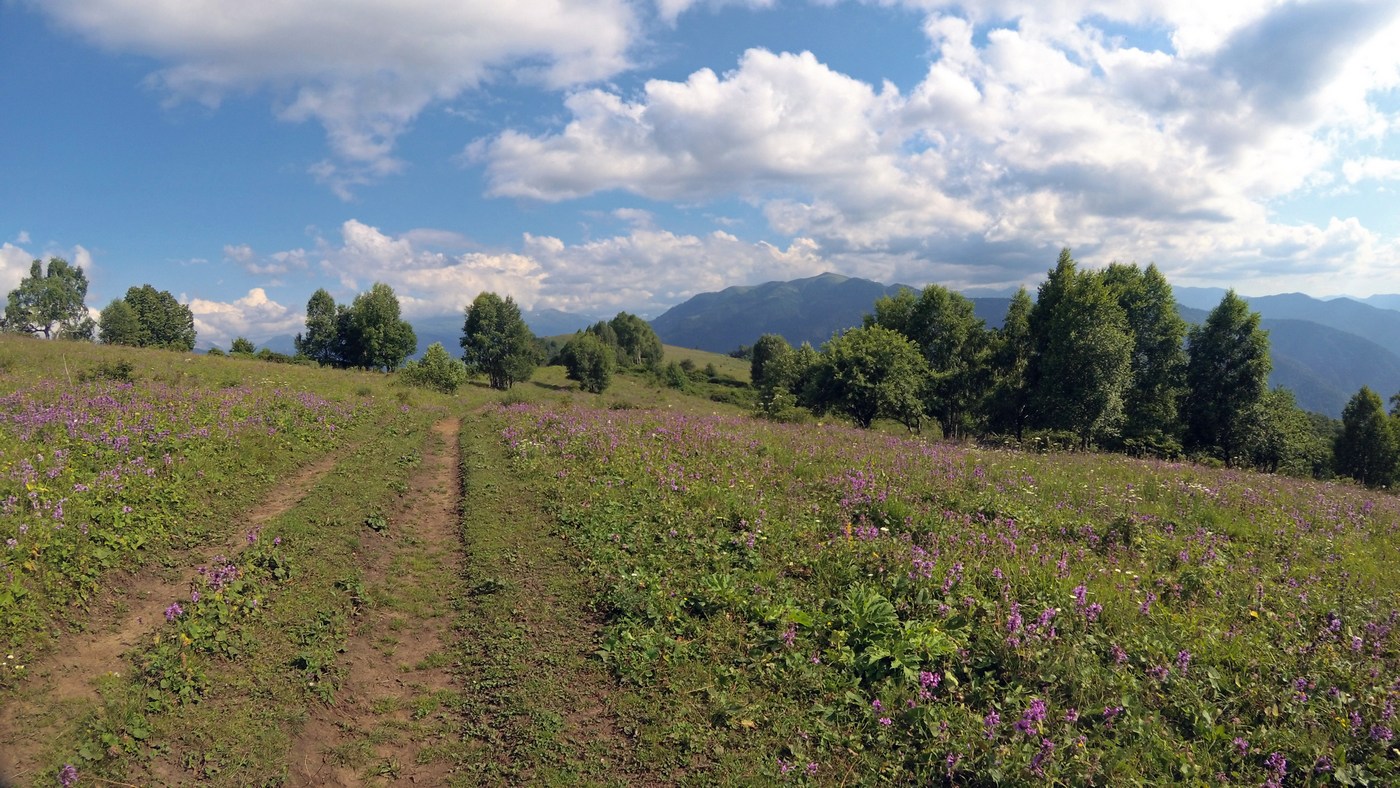 Хребет Ду-Ду-Гуш, image of landscape/habitat.