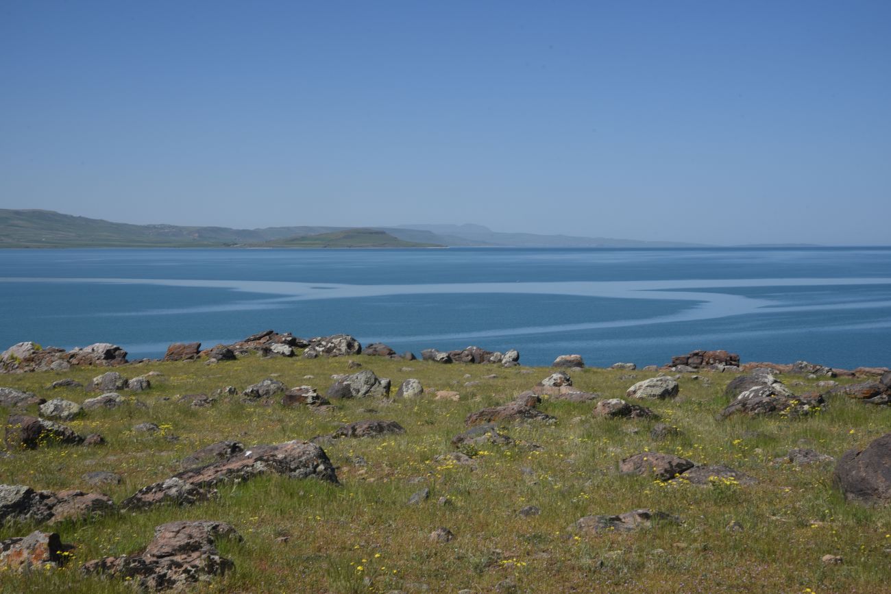 Окрестности Кечикыран, image of landscape/habitat.