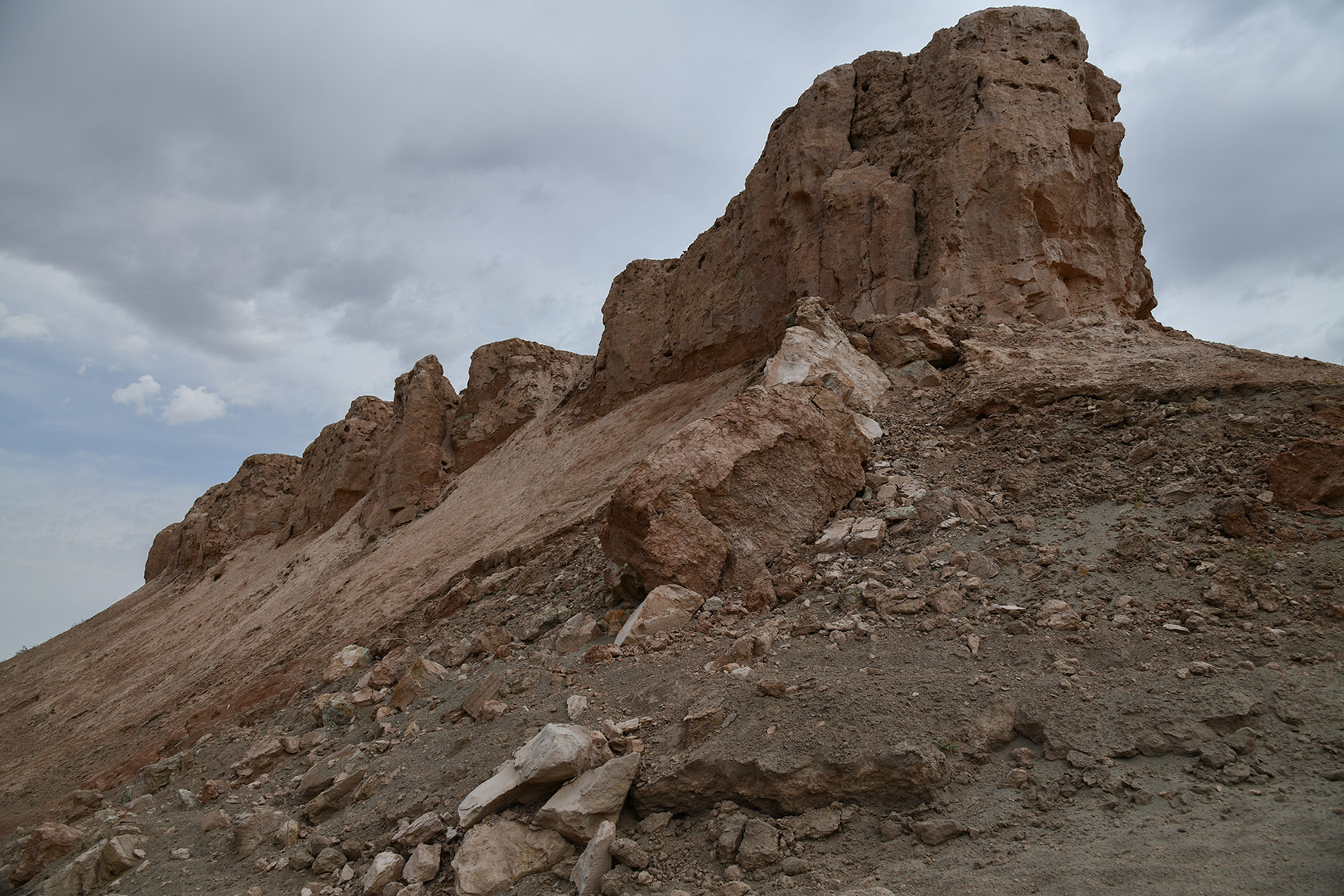 "Королевская дача", image of landscape/habitat.