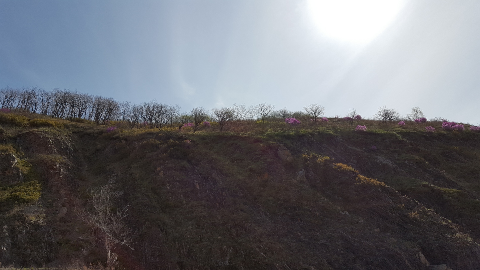 Комсомольск и окрестности, image of landscape/habitat.