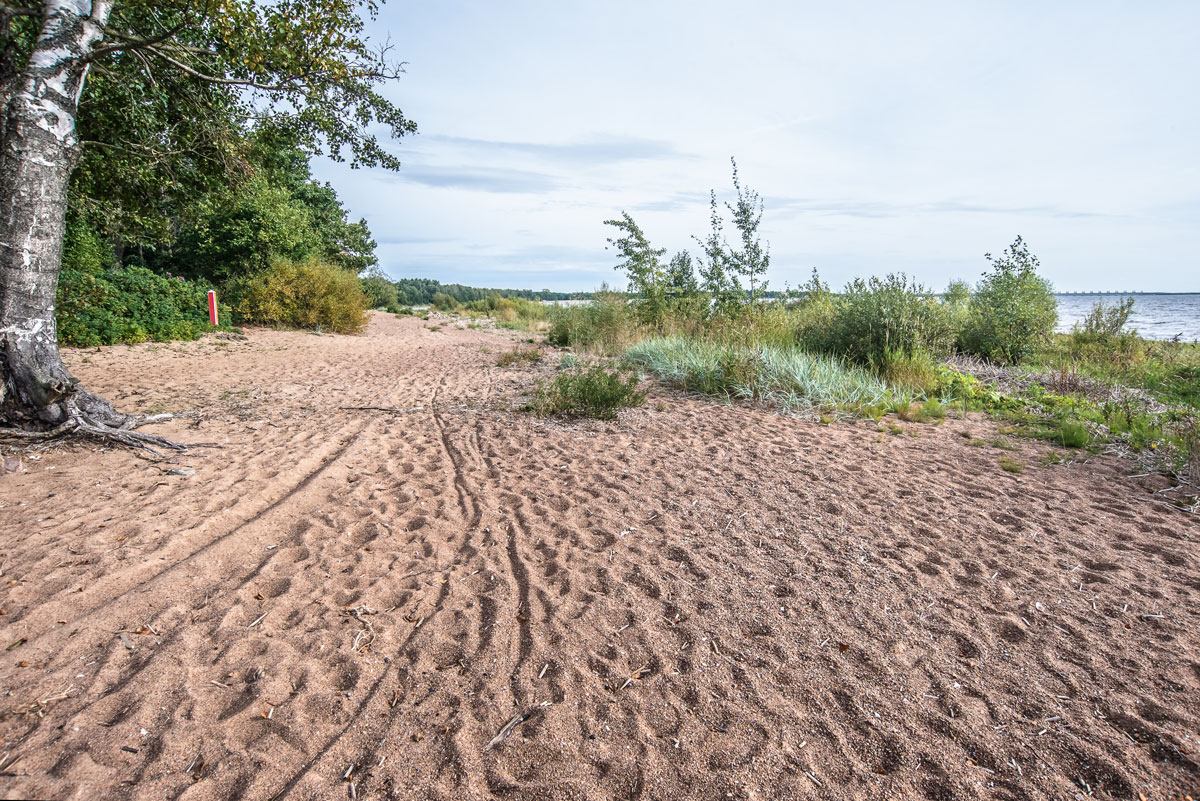Тарховка, image of landscape/habitat.