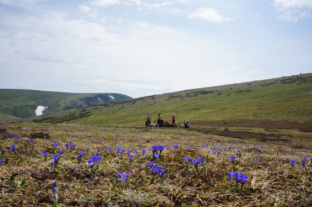 Чертовы ворота - Босан, image of landscape/habitat.