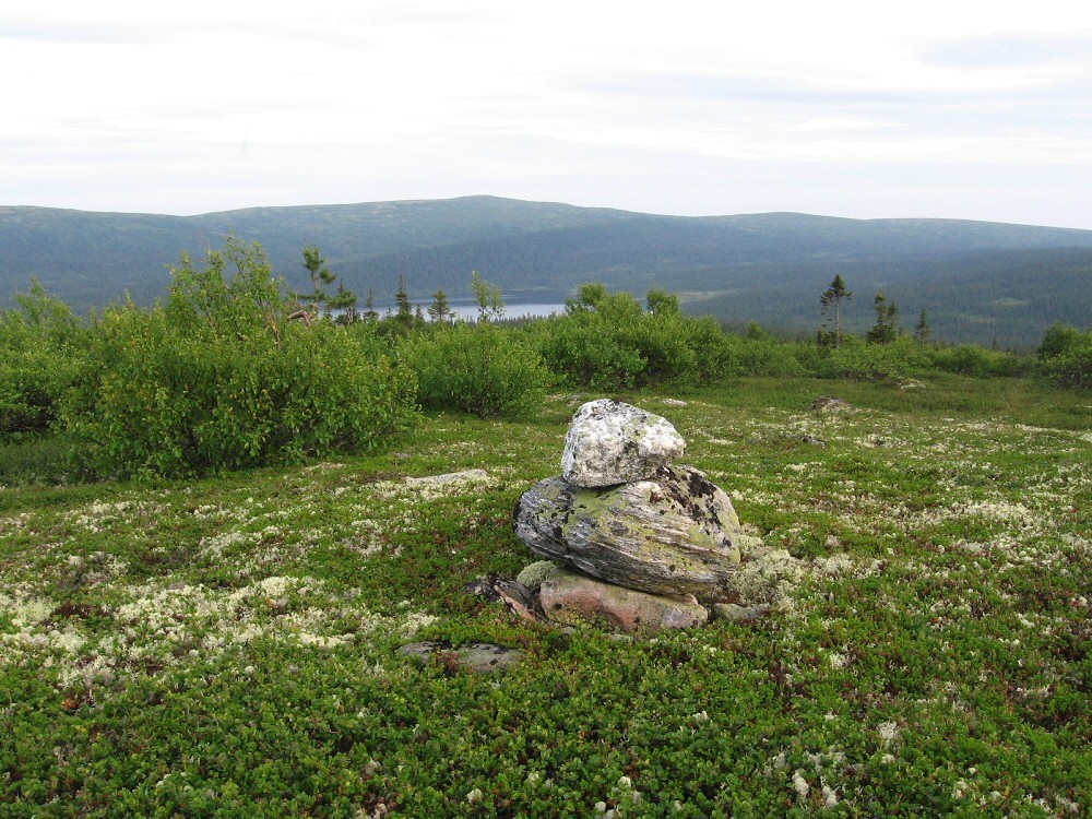 Колвицкие Тундры, image of landscape/habitat.
