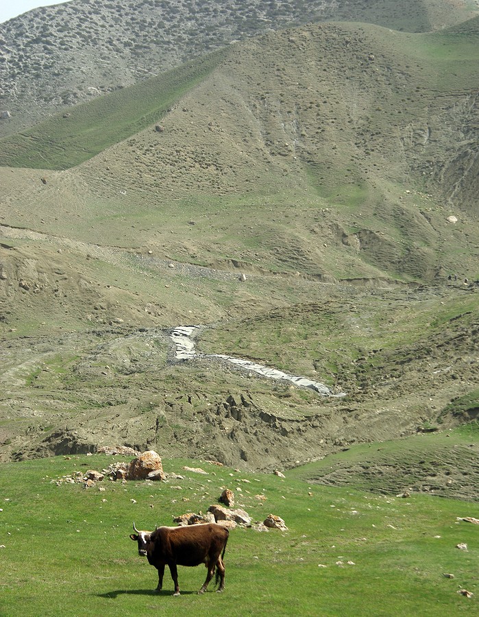 Гудиалчай, image of landscape/habitat.