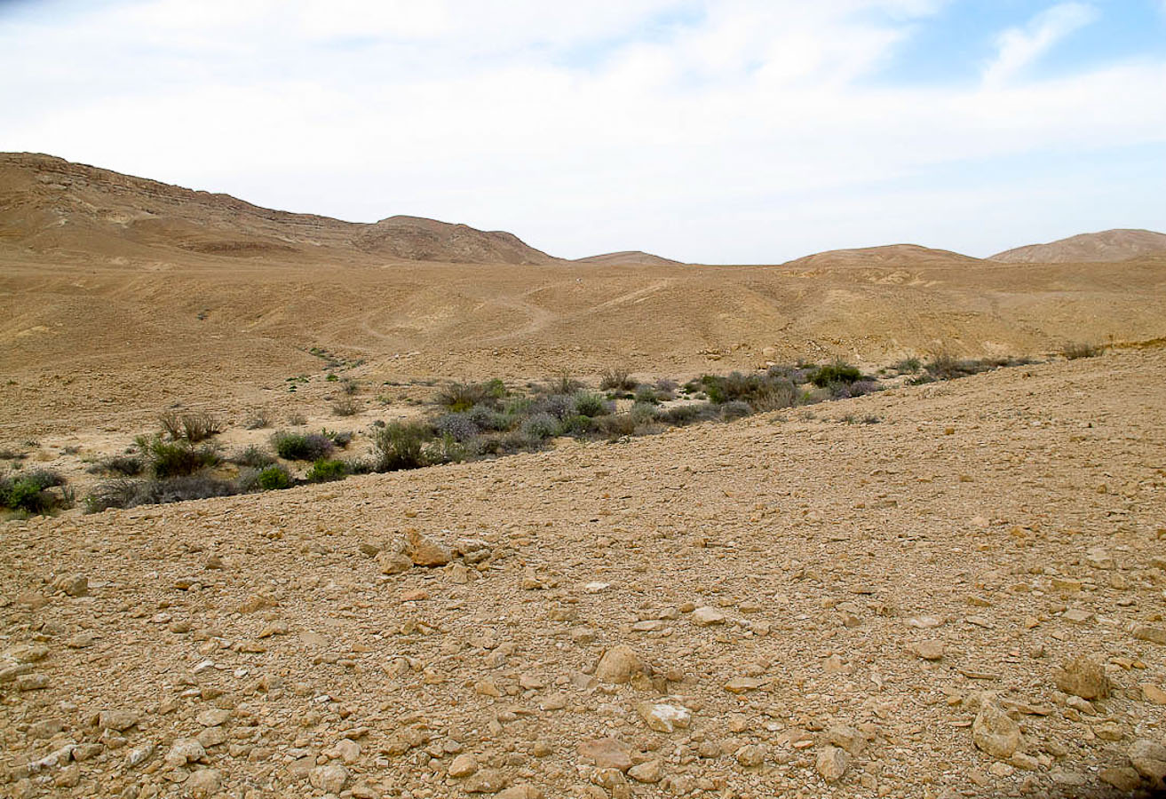 Эйлатские горы, image of landscape/habitat.