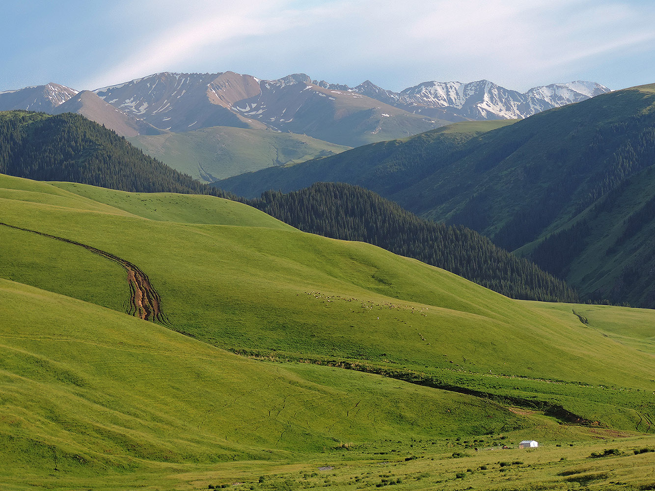 Плато Ассы, изображение ландшафта.