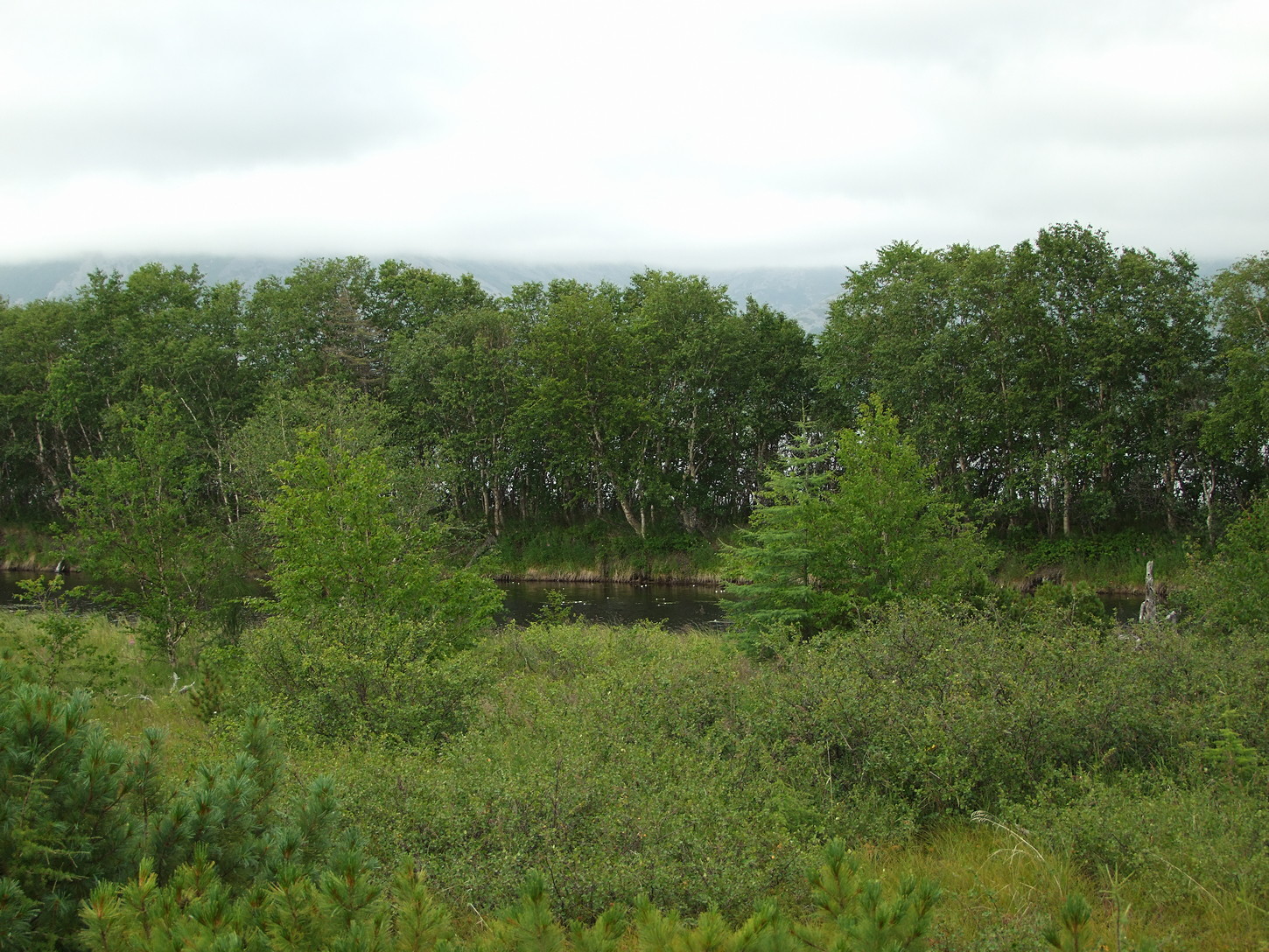 Глухое, image of landscape/habitat.